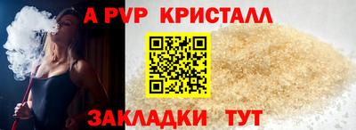 СК Новодвинск