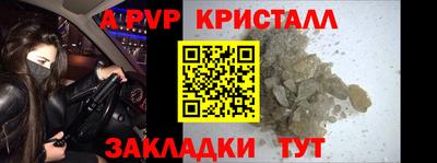 СК Новодвинск