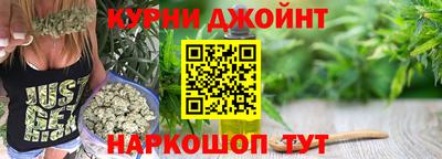 СК Новодвинск